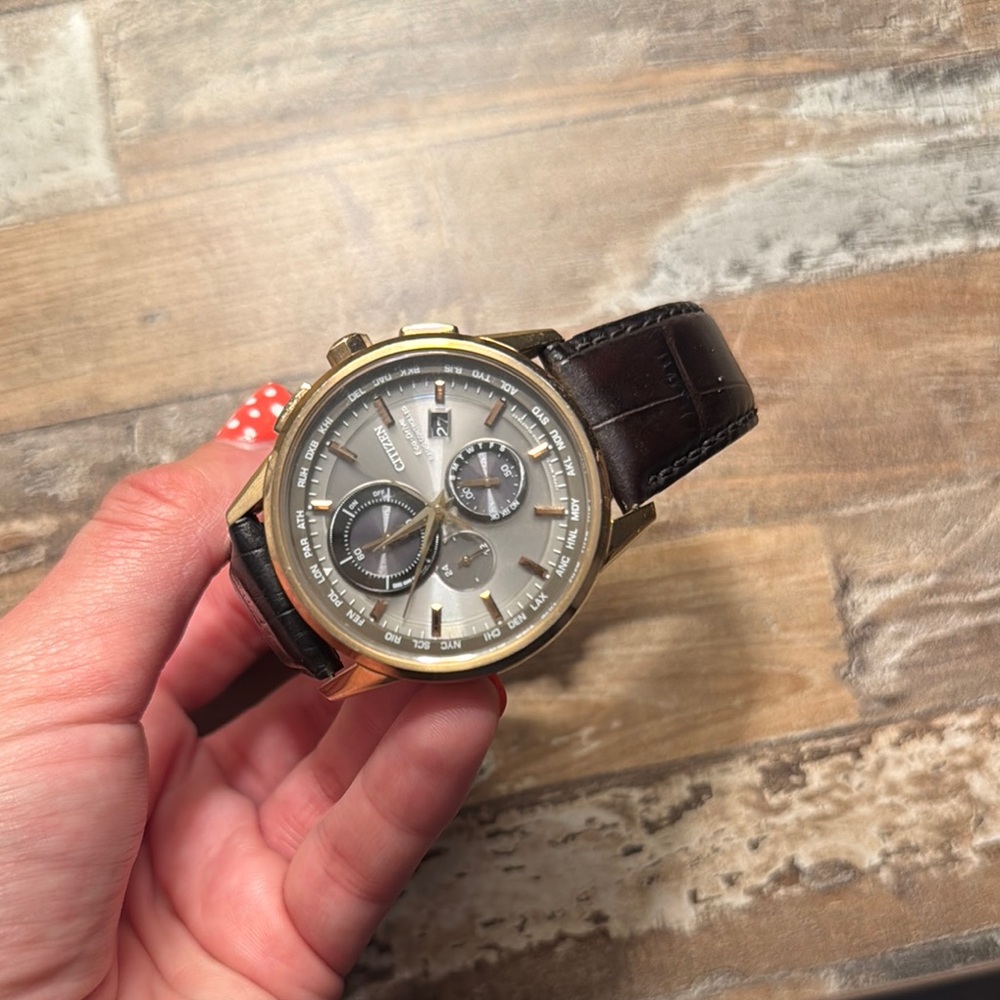 Citizen Men's Brown Ecodrive Leather Watch